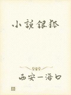 小说银狐