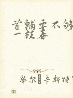 首辅要不够po一枝春封面