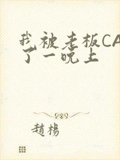 我被老板CAO了一晚上