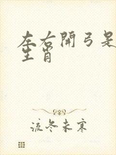 左右开弓是什么生肖封面