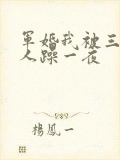 军婚我被三个男人躁一夜封面