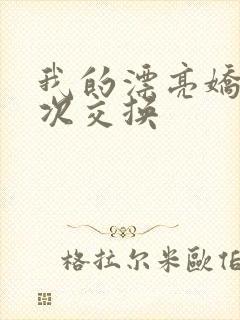 我的漂亮娇妻初次交换