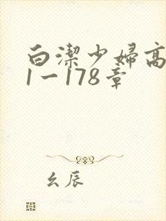 白洁少妇高义第1一178章封面