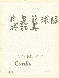 我是篮球队的公共玩具封面