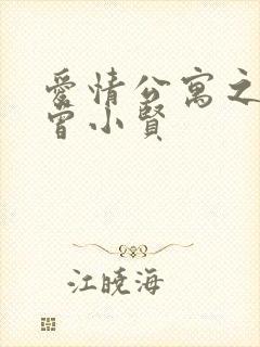 爱情公寓之极品曾小贤封面