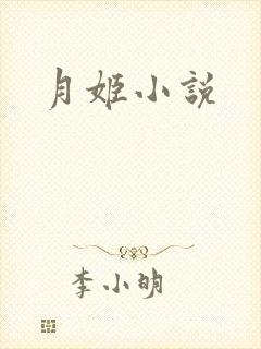 月姬小说封面