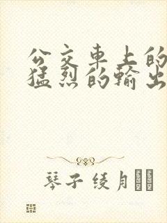 公交车上的诗请猛烈的输出阅读