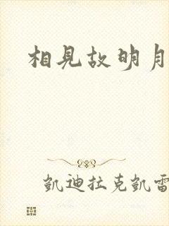 相见故明月