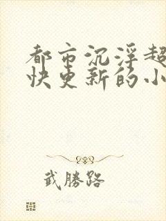 都市沉浮超前超快更新的小说