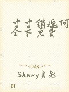 寸寸销魂何生祥全本免费