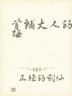 首辅大人的小青梅