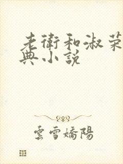 老卫和淑荣的经典小说