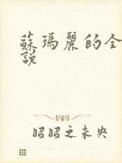 苏玛丽的全部小说封面