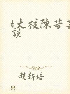 t大校陈若芸小说