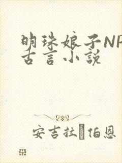 明珠娘子NPC古言小说