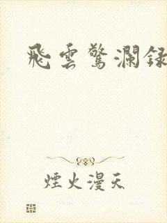 飞云惊澜录封面