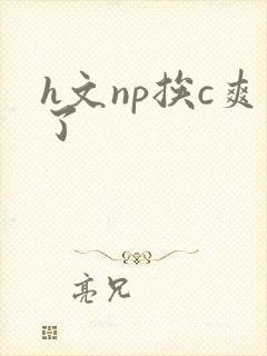 h文np挨c爽了