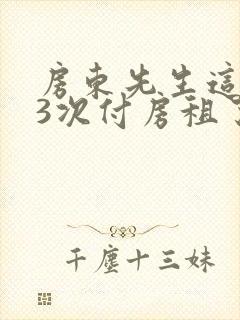 房东先生这是第3次付房租了封面