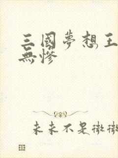 三国梦想王元姬无惨