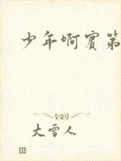 少年啊宾第二部