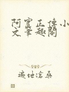 阿宾正传小说全文笔趣阁