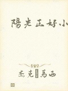 阳光正好小说封面