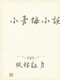 小青梅小说