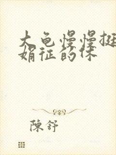 大龟慢慢挺进张娟征的休封面