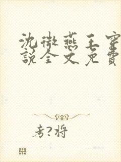 沈微燕王穿越小说全文免费阅读