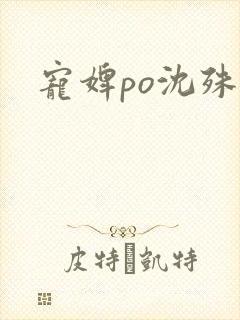 宠婢po沈殊辞封面