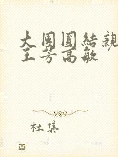 大团圆结亲情会王芳高敏封面