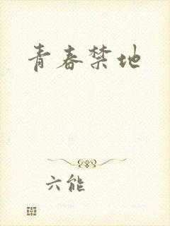 青春禁地封面