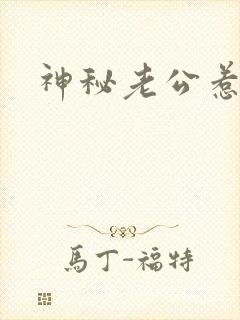 神秘老公惹不起封面