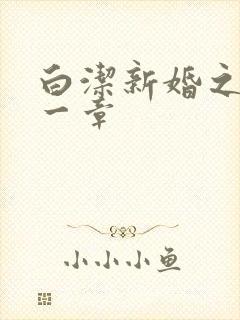 白洁新婚之夜第一章封面