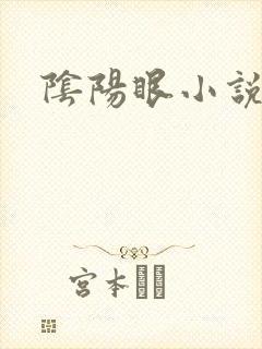 阴阳眼小说