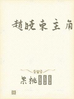 赵晓东主角小说封面