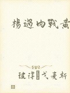 杨过肉战黄蓉封面