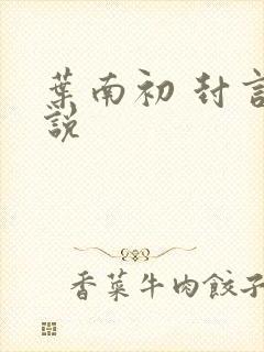 叶南初 封言小说