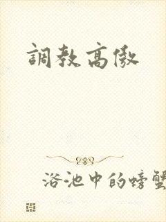 调教高傲