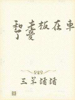 和老板在车里做了爱