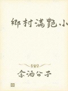 乡村满艳小说封面