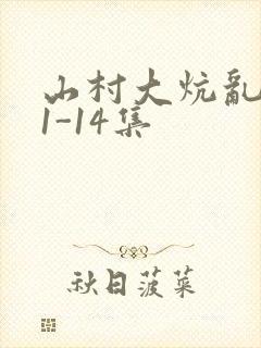 山村大炕乱肉续1-14集封面