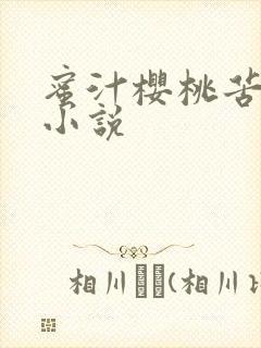 蜜汁樱桃苦咖啡小说