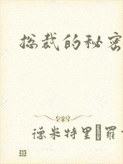 总裁的秘密情人