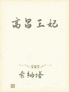 高昌王妃封面