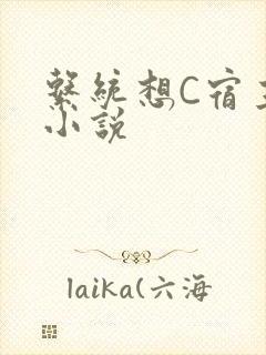 系统想C宿主的小说