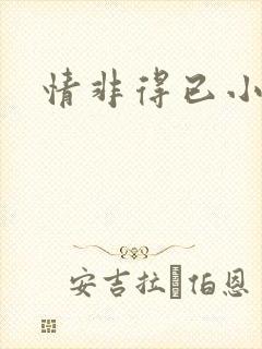 情非得已小说封面