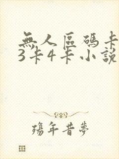 无人区码卡二卡3卡4卡小说
