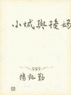 小城与后妈封面