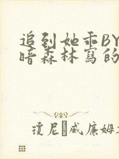 追到她乖BY黑暗森林写的小说